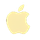 Apple iOS Icon